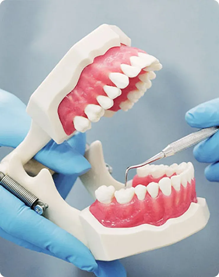 Smiling dentist